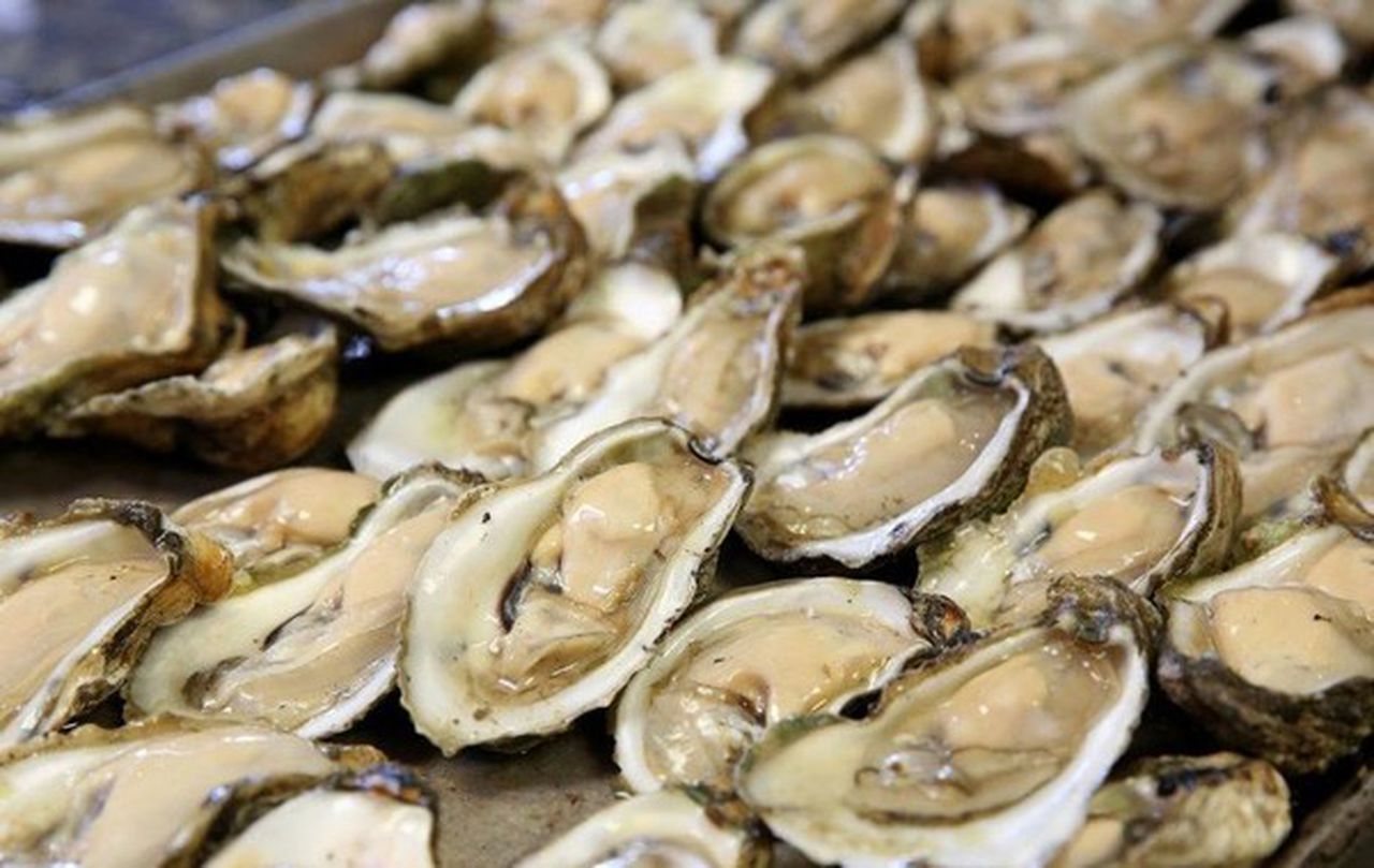 food poisoning from oysters